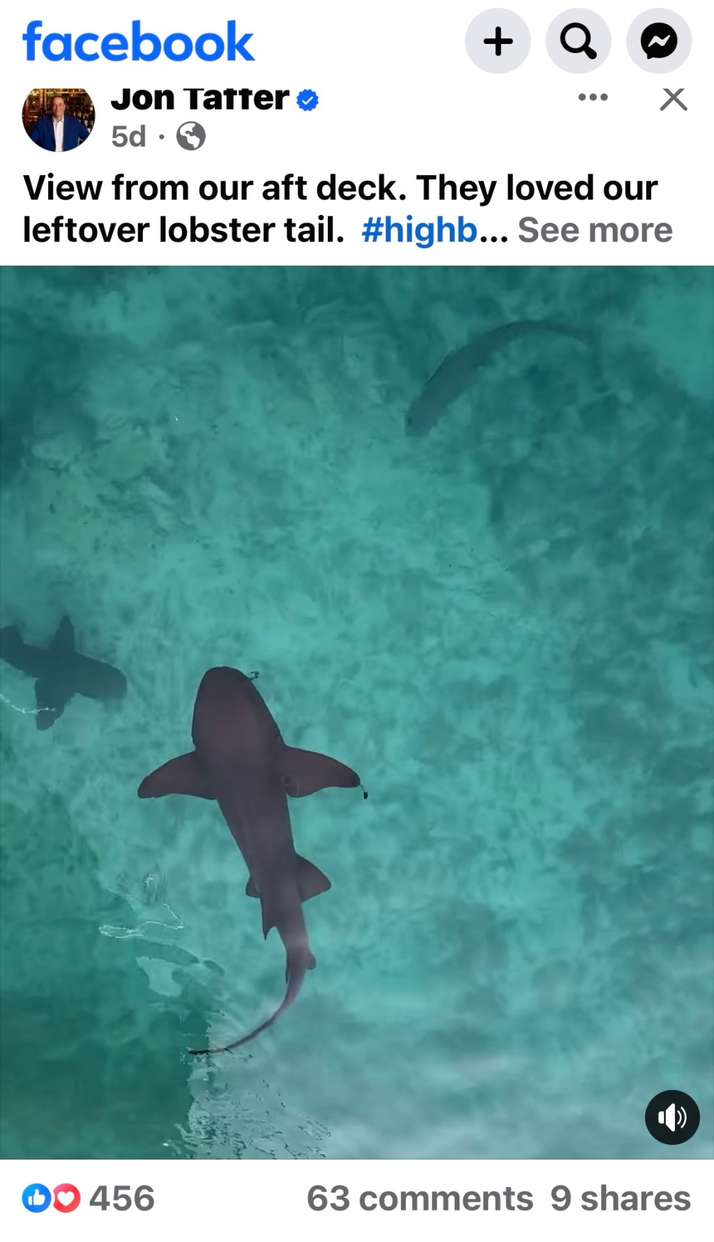 Social Media Synopsis: April24,&nbsp;2024